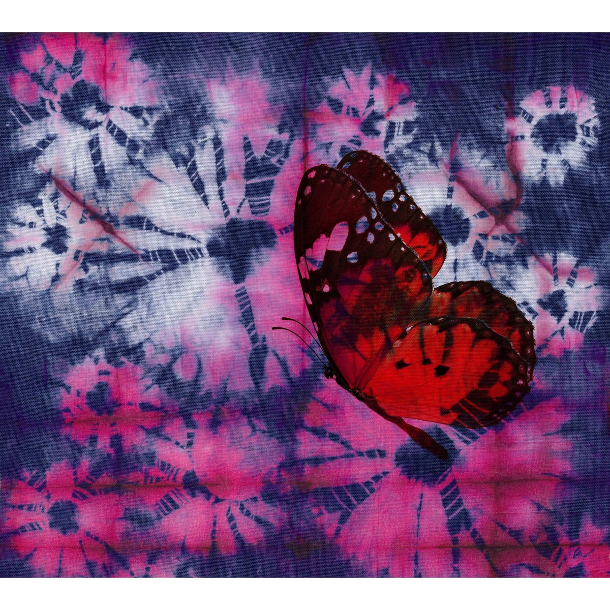Red Canvas Art - Multi (24 x 24) Y6106
