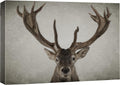 Canvas Print Wall Art Ram Portrait on Graphite Background I509