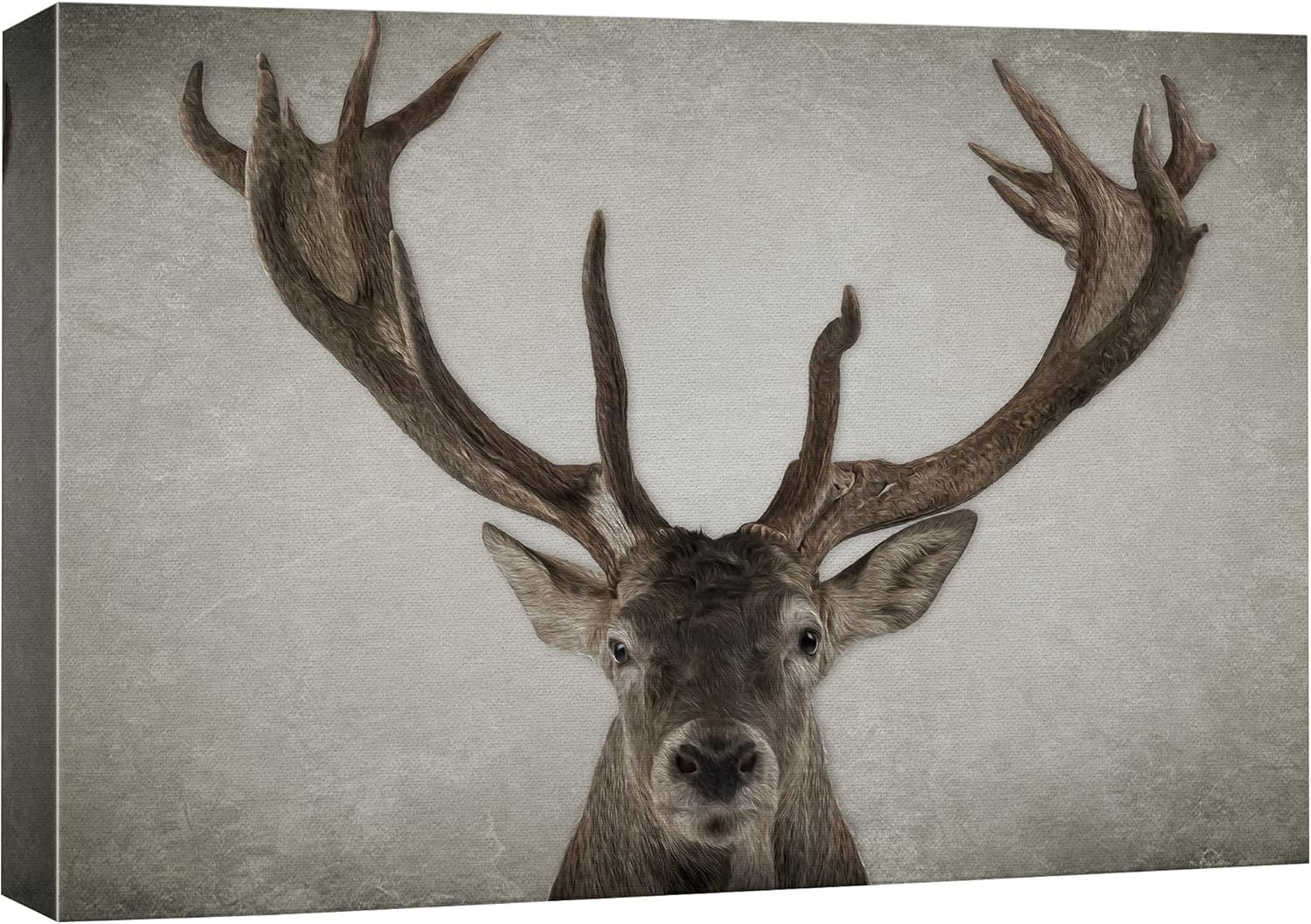 Canvas Print Wall Art Ram Portrait on Graphite Background I509