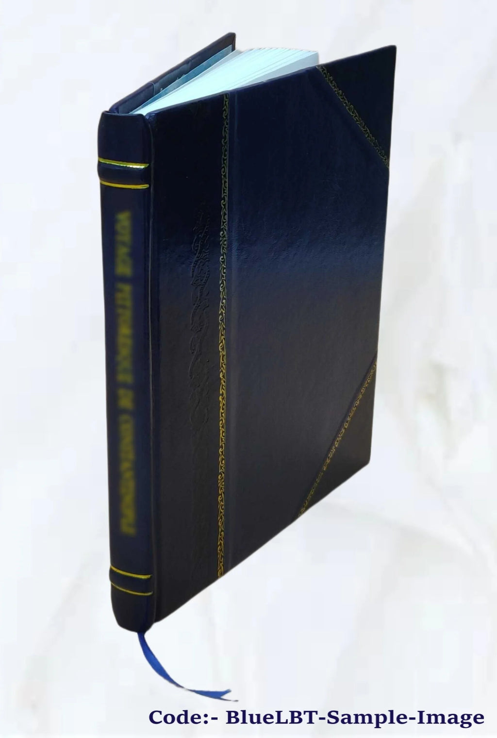 Leather Bound Historical Thesis Y922