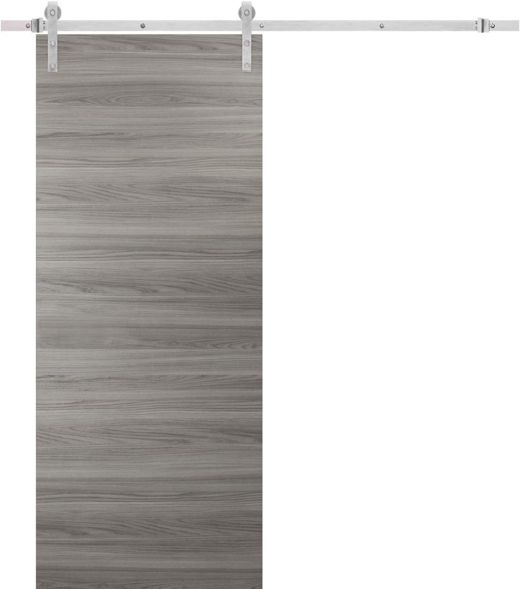 Solid Barn Door with Stainless Steel Rail Hardware Kit S163
