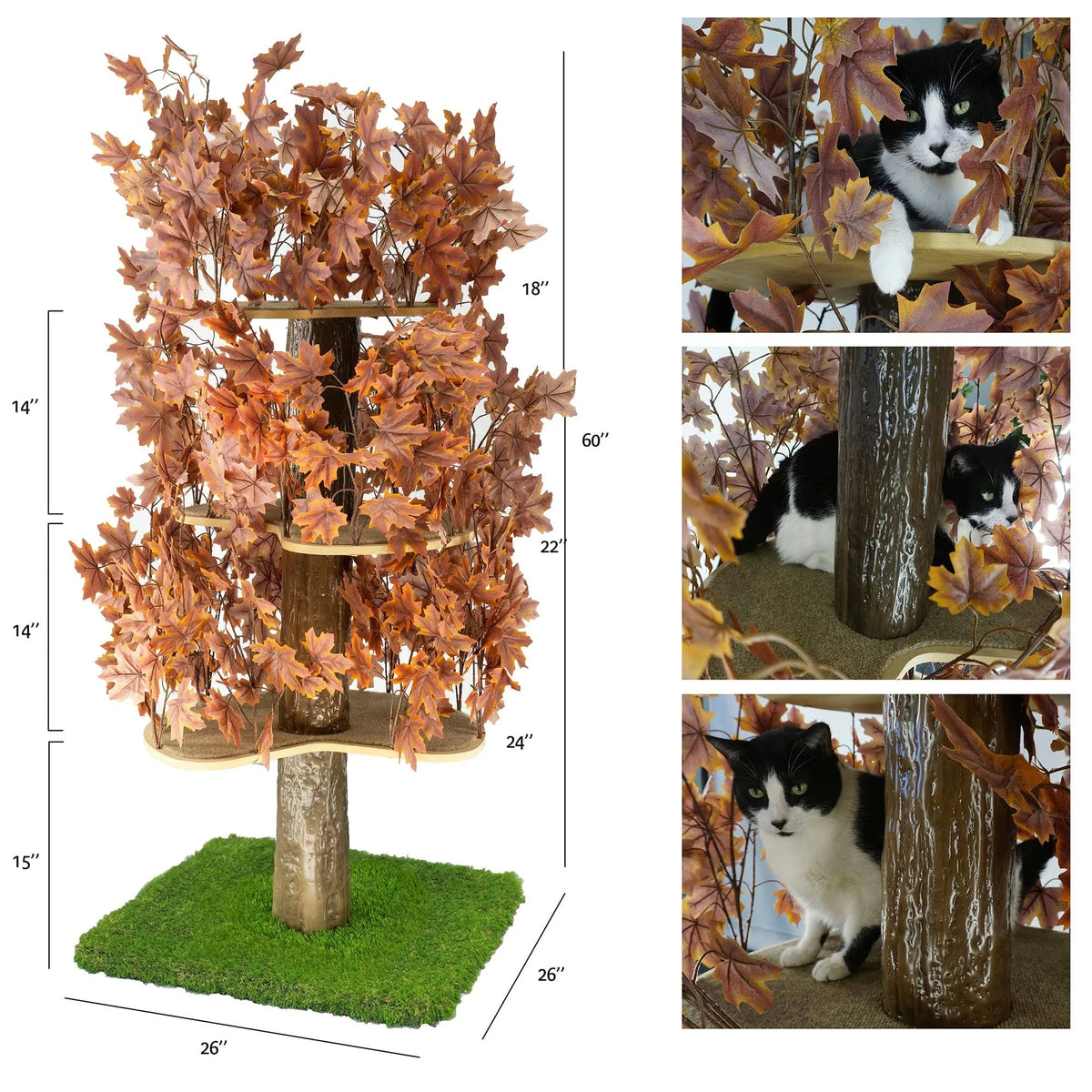 Plum Autumn 60-in Square Cat Tree A875766