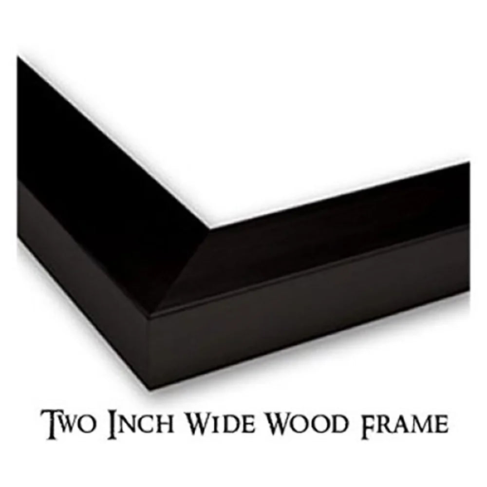 Black Modern Framed Museum Art Print U341214