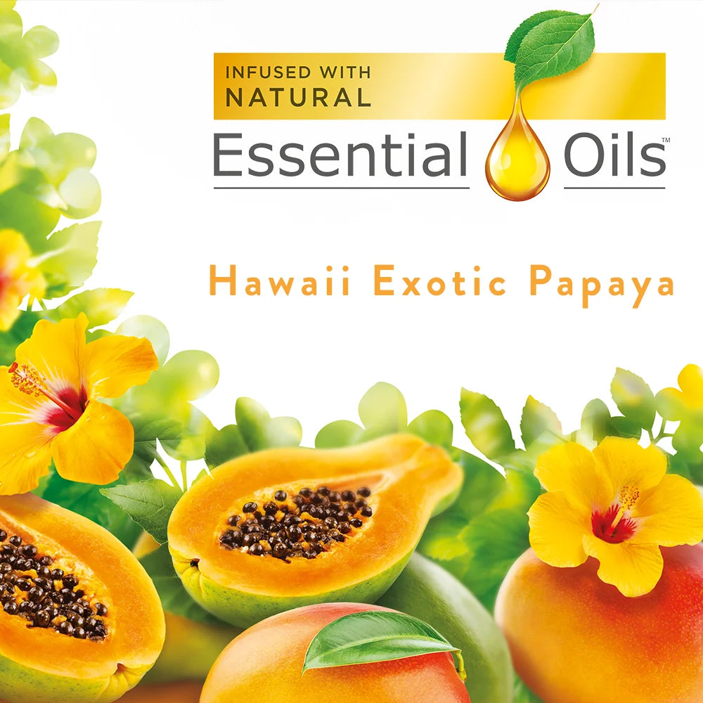 Hawaii Scented Oil Refill, 5 ct, Air Freshener U457523