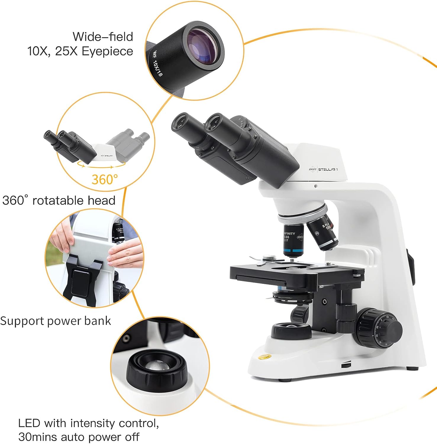 Professional Lab Compound Microscope, 40X-2500X Magnification, Binocular Head Q63299