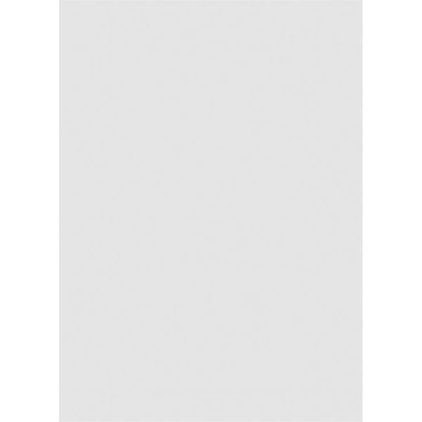 PVC Gable Vent with Brickmould X974548