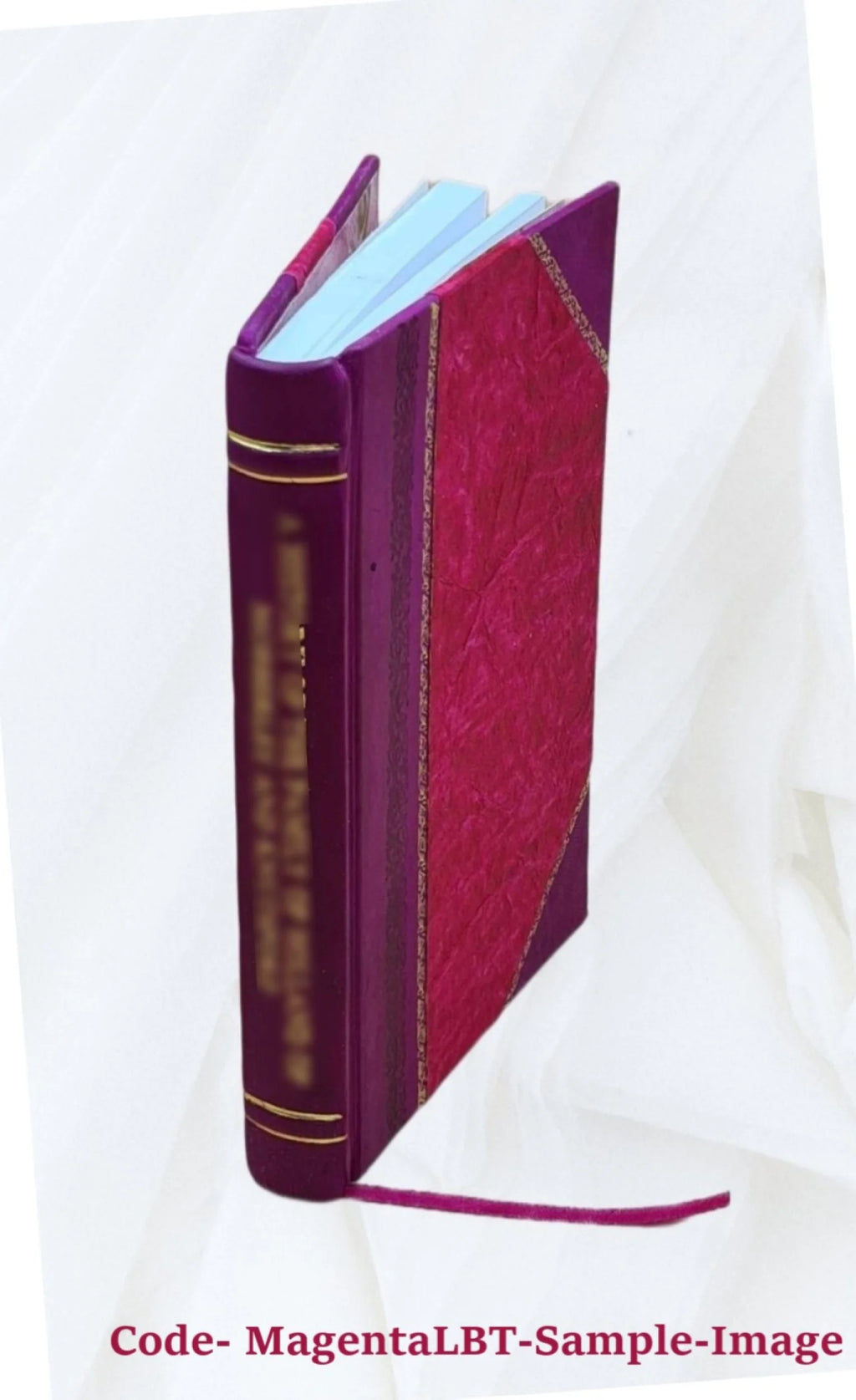 Le plan astral (2e édition revue et corrigée) par C. W. Leadbeater, traduit de l'anglais 1906, Leather Bound Y261
