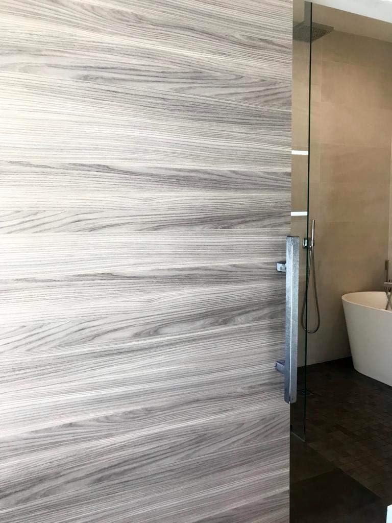Solid Barn Door with Stainless Steel Rail Hardware Kit S163