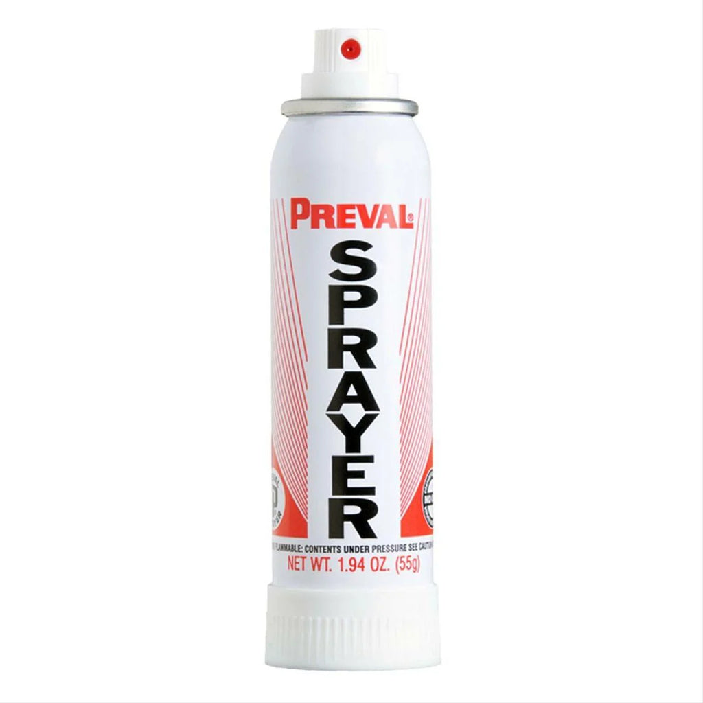 Touch Up Basecoat Plus Clearcoat Spray Paint Kit L87383