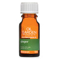 Ginger Essential Oil 12ml H443453