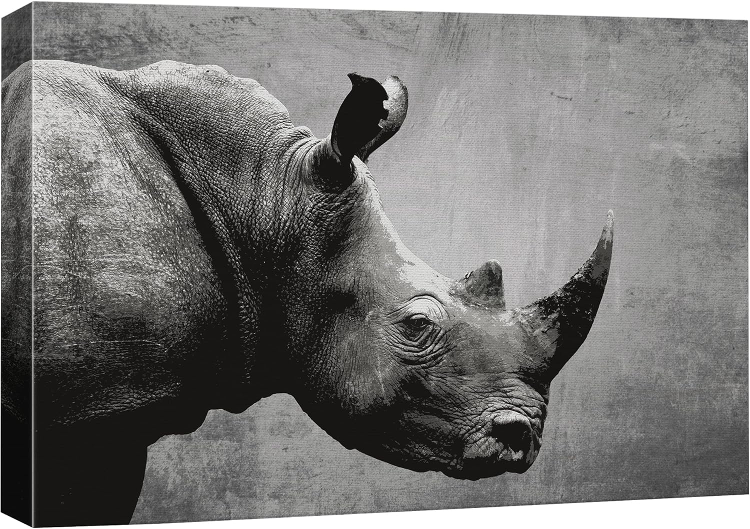 Canvas Print Wall Art Ram Portrait on Graphite Background I509