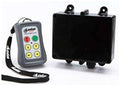 4 Function IP55 Relay System with Master, 5 Amps, 200 Ft. Range V42697