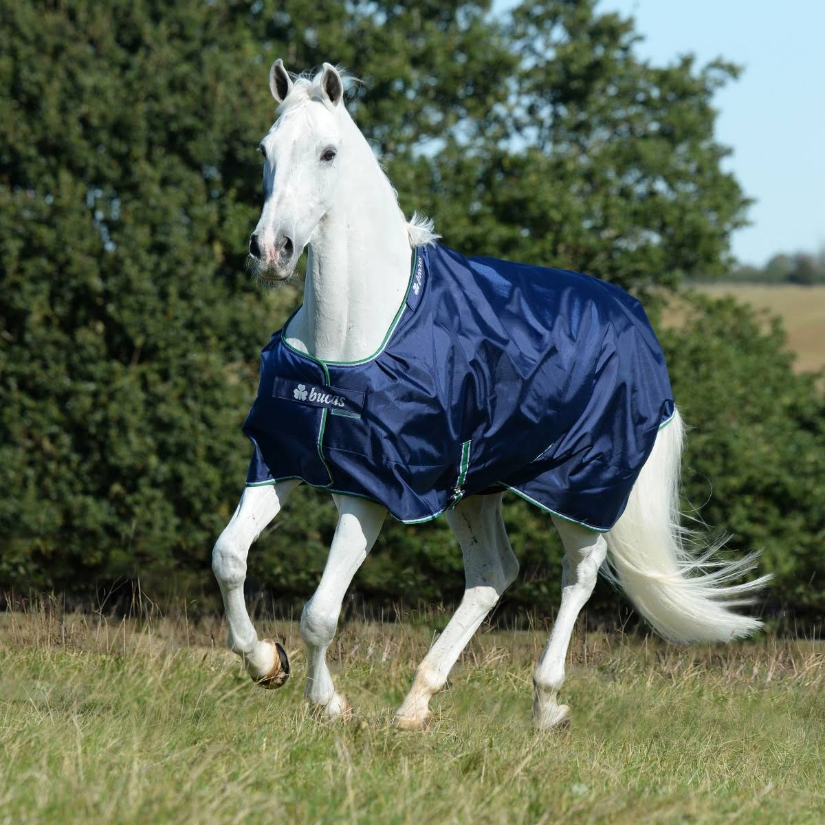 Medium 150g Turnout A583664