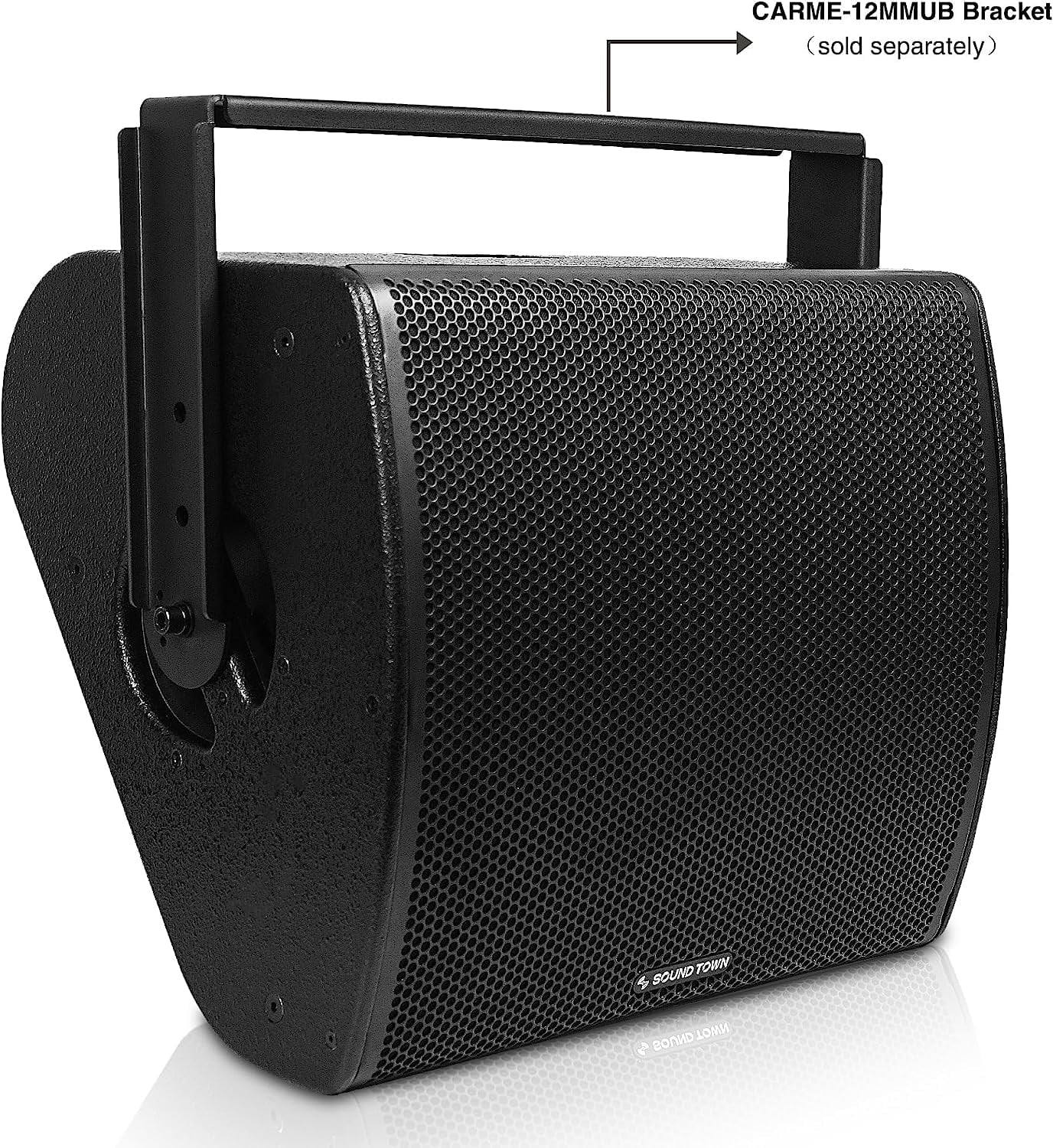 12" Multipurpose Loudspeaker with Coaxial Compression Driver, Birch Plywood, Black V17553