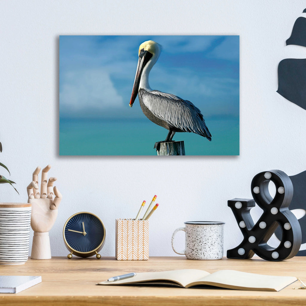 Acrylic Glass Wall Art, 16"x12" B83233