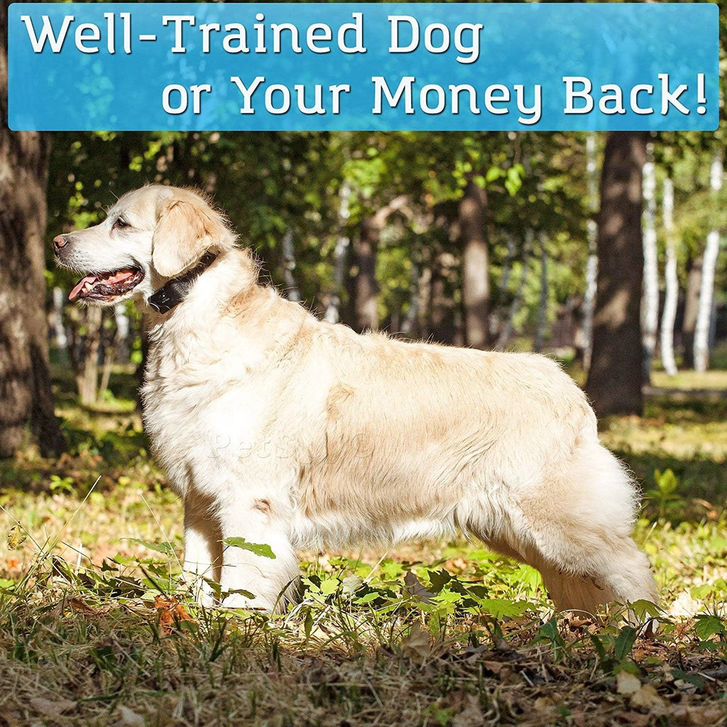 Waterproof Remote Dog Training Collar with Vibration, Electric Shock, Beep R319
