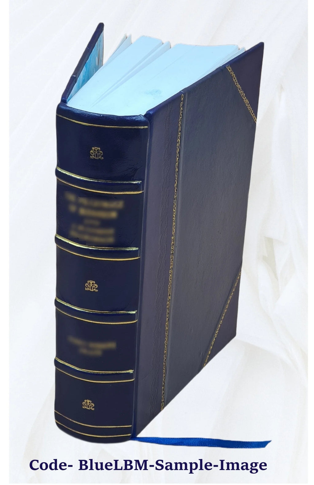 Leather Bound Book K268385