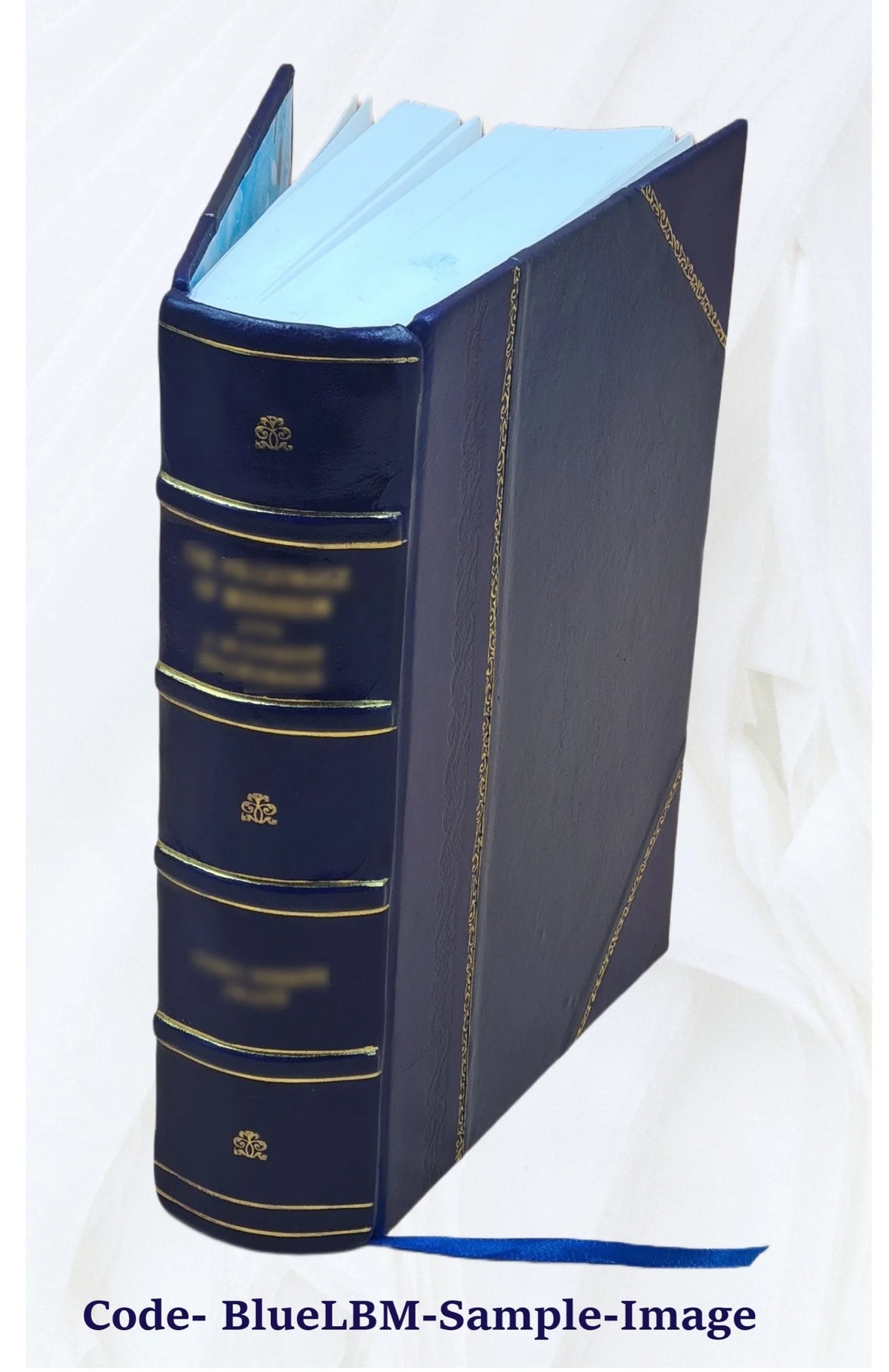Leather Bound Book K268385