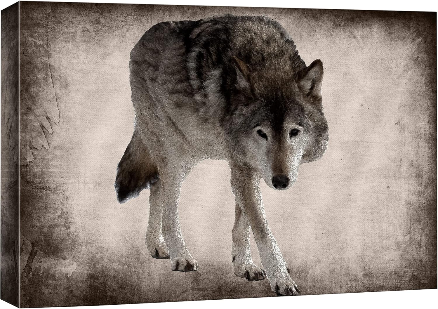 Canvas Print Wall Art Ram Portrait on Graphite Background I509