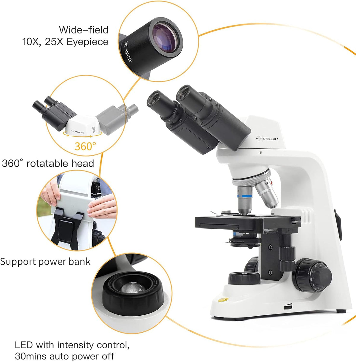 Professional Lab Compound Microscope, 40X-2500X Magnification, Binocular Head Q63299