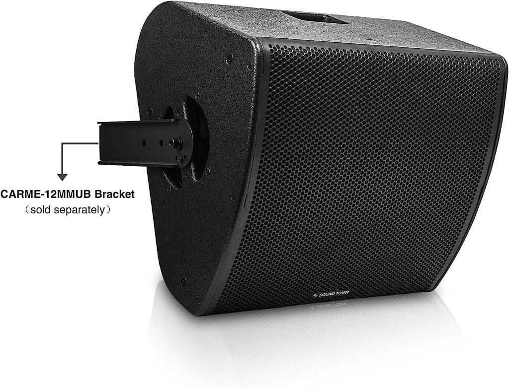 12" Multipurpose Loudspeaker with Coaxial Compression Driver, Birch Plywood, Black V17553