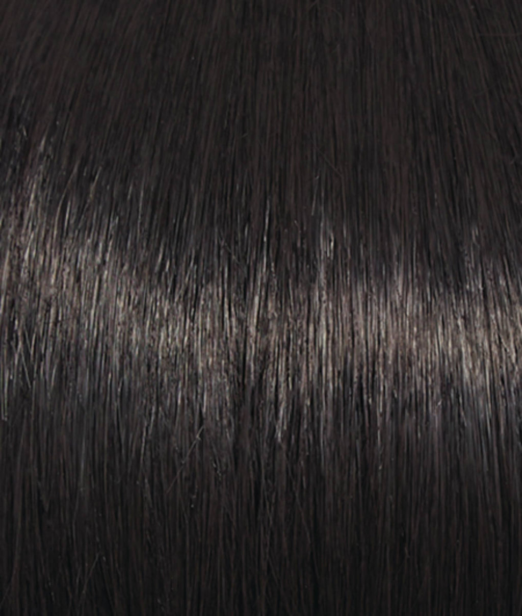Ebony Wig S377