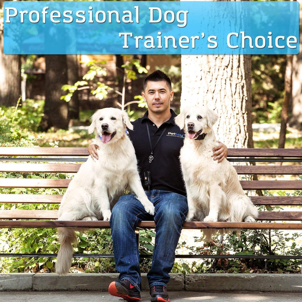 Waterproof Remote Dog Training Collar with Vibration, Electric Shock, Beep R319