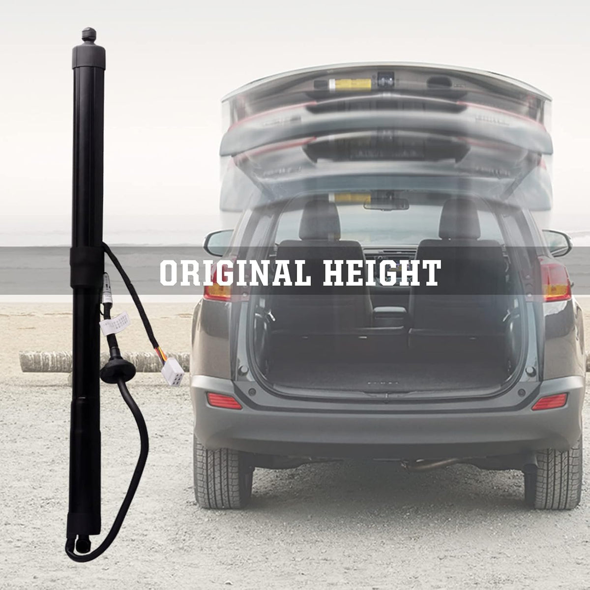 Power Liftgate Support for Toyota RAV4 2013-2018 right Side Tailgate Electric Struts K57631