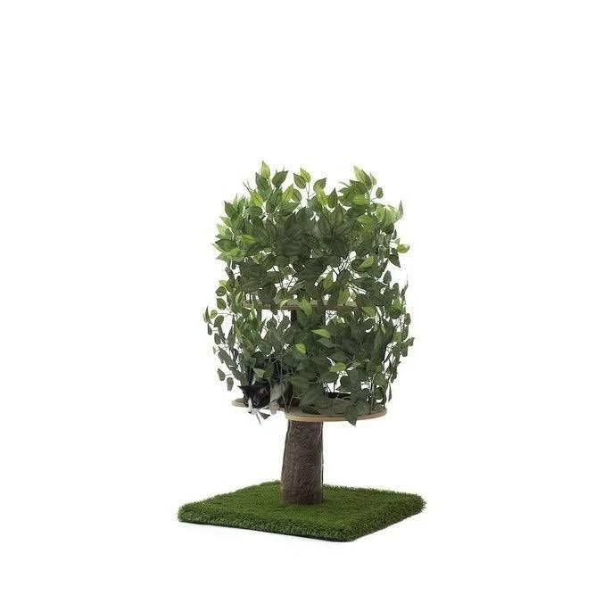 Plum Autumn 60-in Square Cat Tree A875766