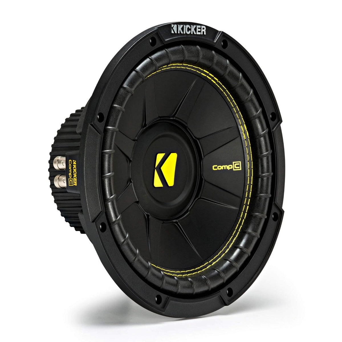 10 Inch 500 Watt Max Dual Voice Coil 4 Ohm Car Subwoofer Q109435