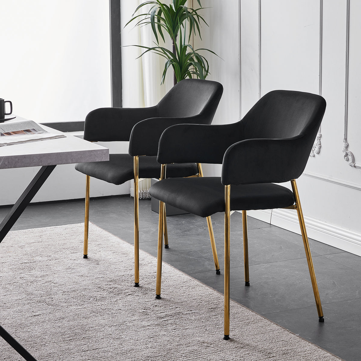 Black Velvet Dining Chairs Set of 2 with Armrest and Golden Chrome Legs S65711