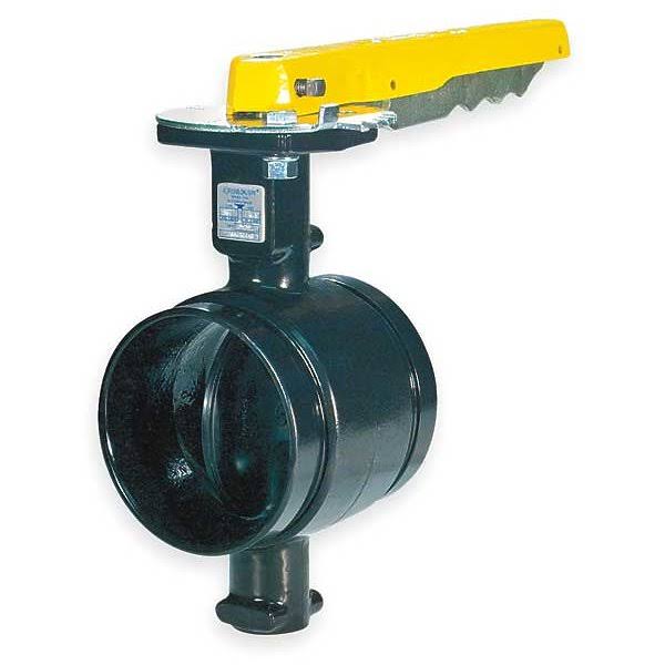 Butterfly Valve, Grooved, 2 In, Iron Q1342