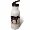 Black Angus Cow Sports Water Bottle 21 oz F965919
