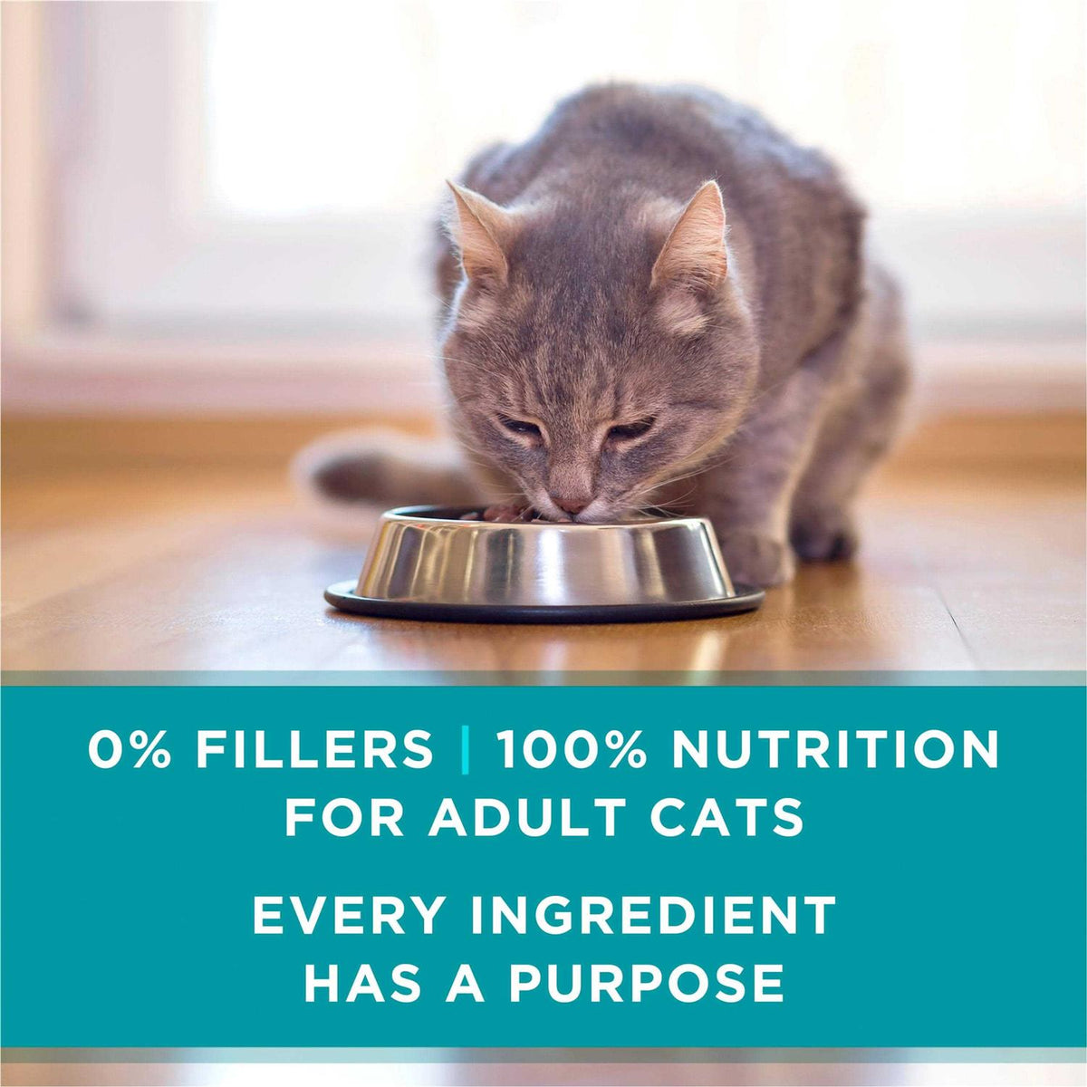 Natural Pate Wet Cat Food O6152