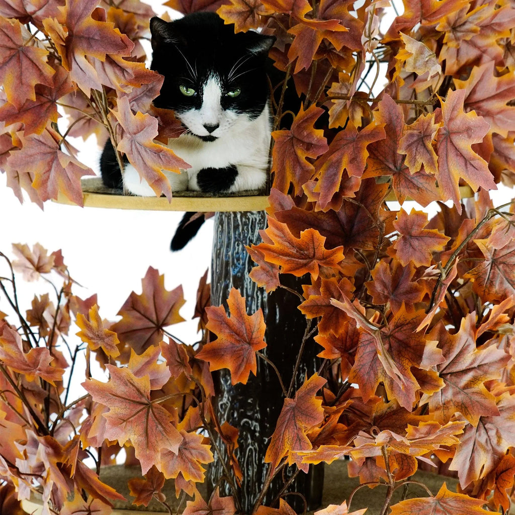 Plum Autumn 60-in Square Cat Tree A875766