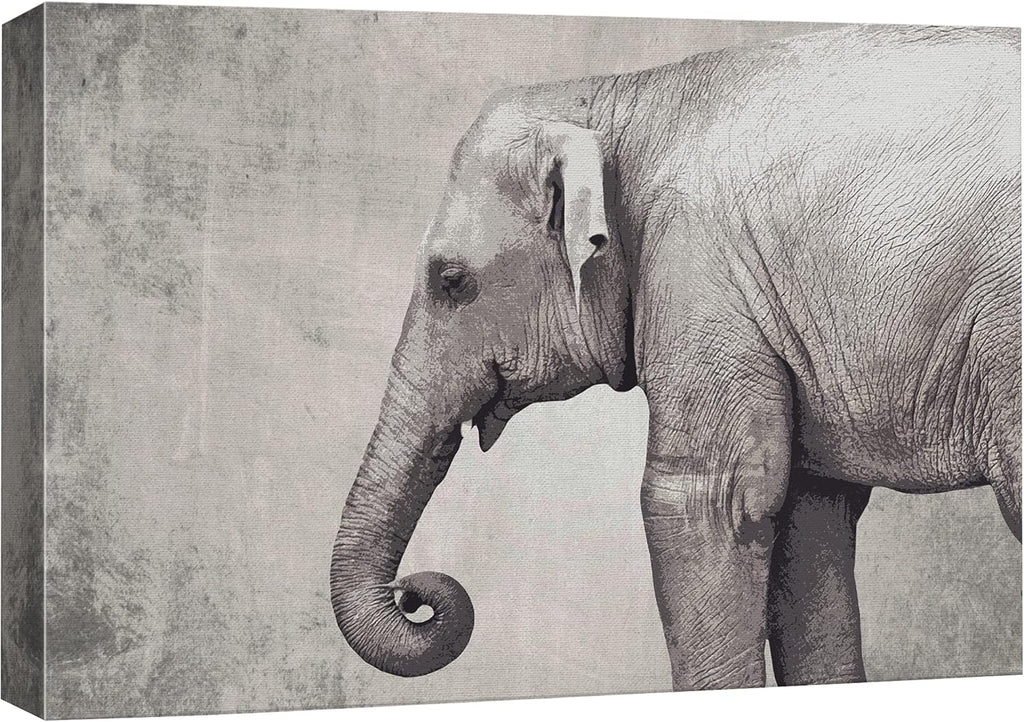 Canvas Print Wall Art Ram Portrait on Graphite Background I509