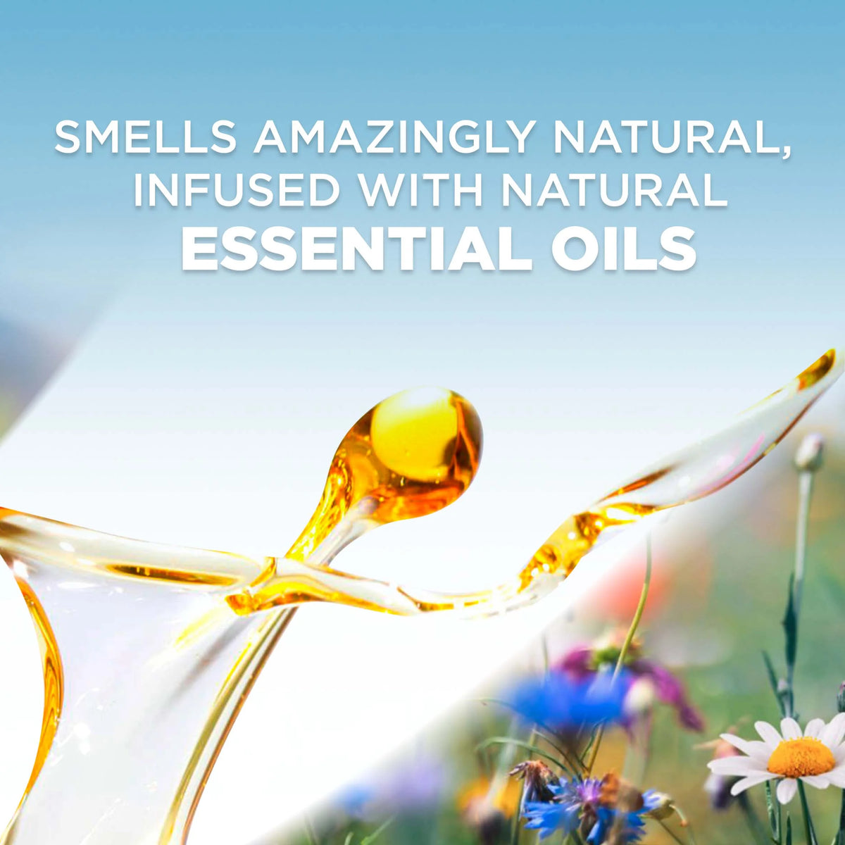 Hawaii Scented Oil Refill, 5 ct, Air Freshener U457523