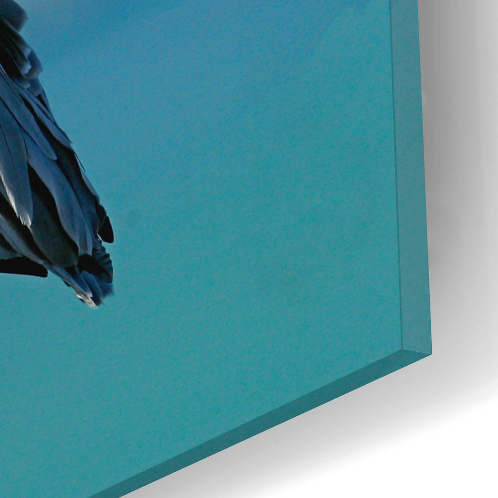 Acrylic Glass Wall Art, 16"x12" B83233