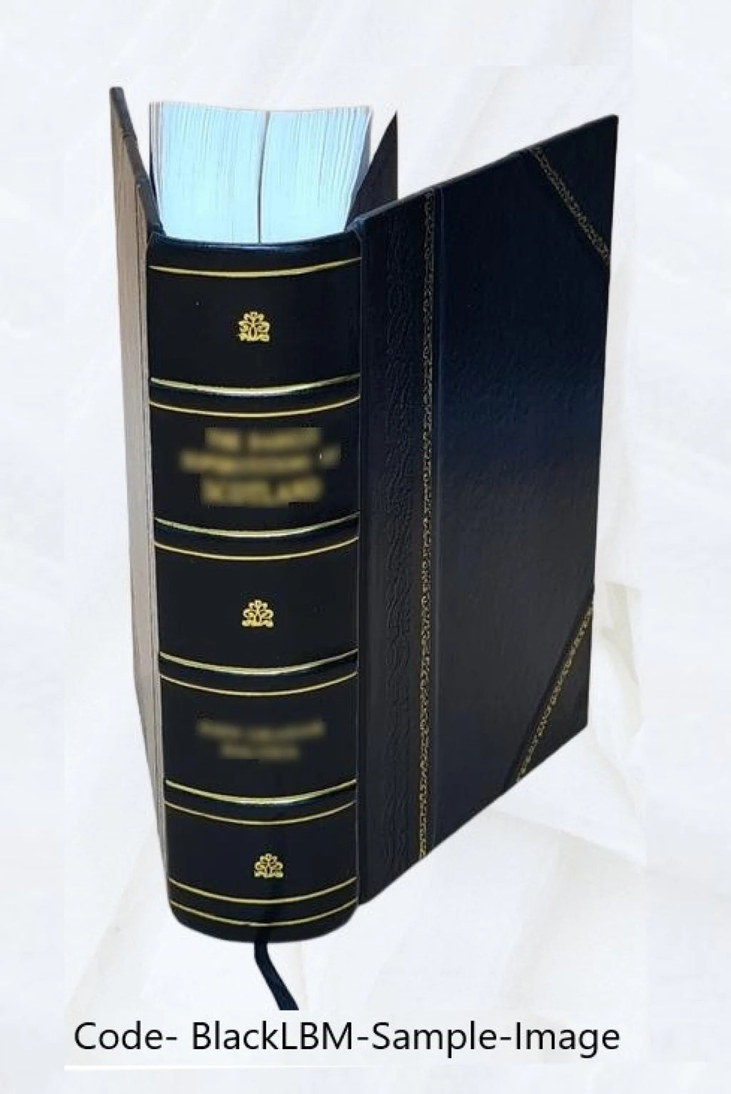 Leather Bound Book K268385