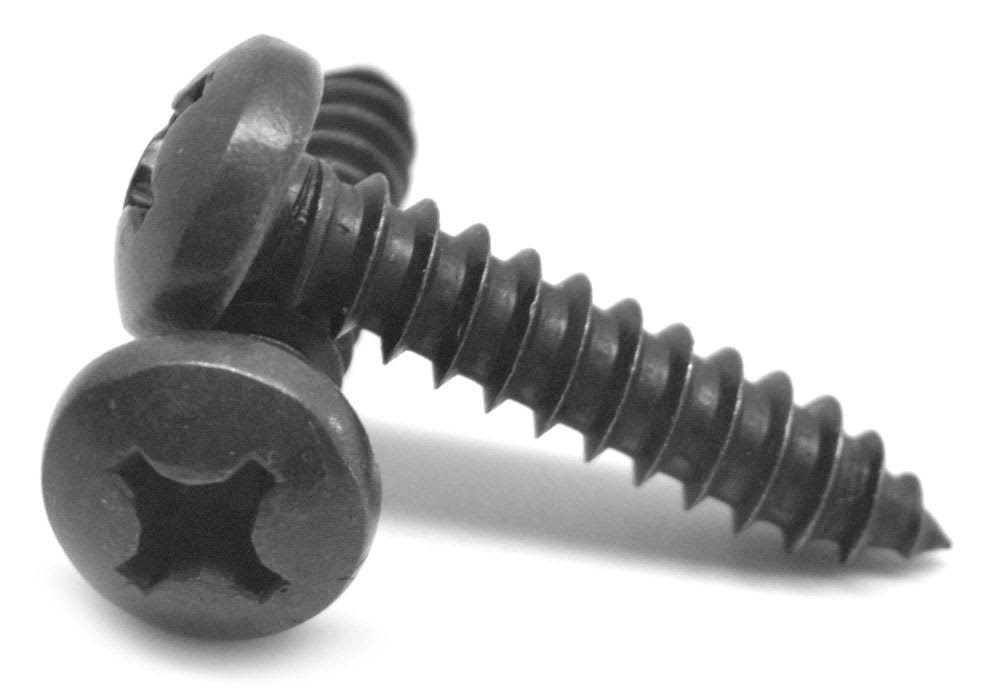 Black Oxide 18-8 Stainless Steel Sheet Metal Screw I965