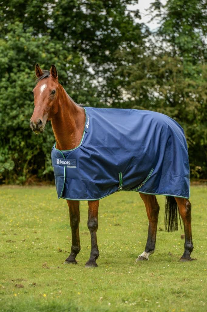 Medium 150g Turnout A583664
