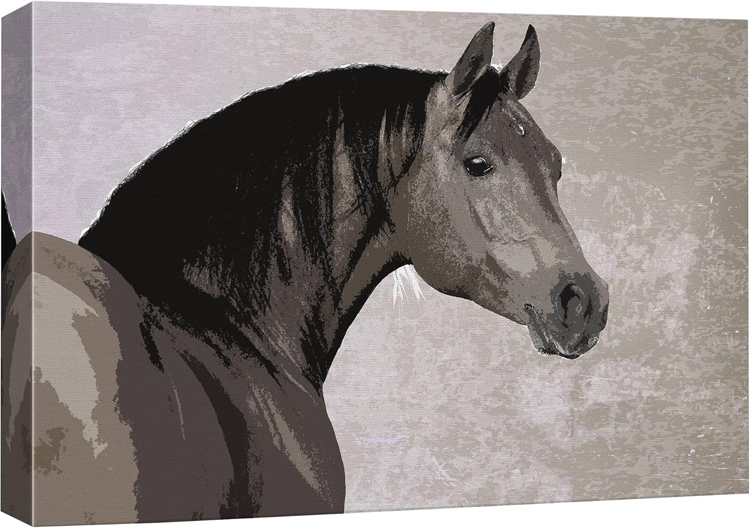 Canvas Print Wall Art Ram Portrait on Graphite Background I509