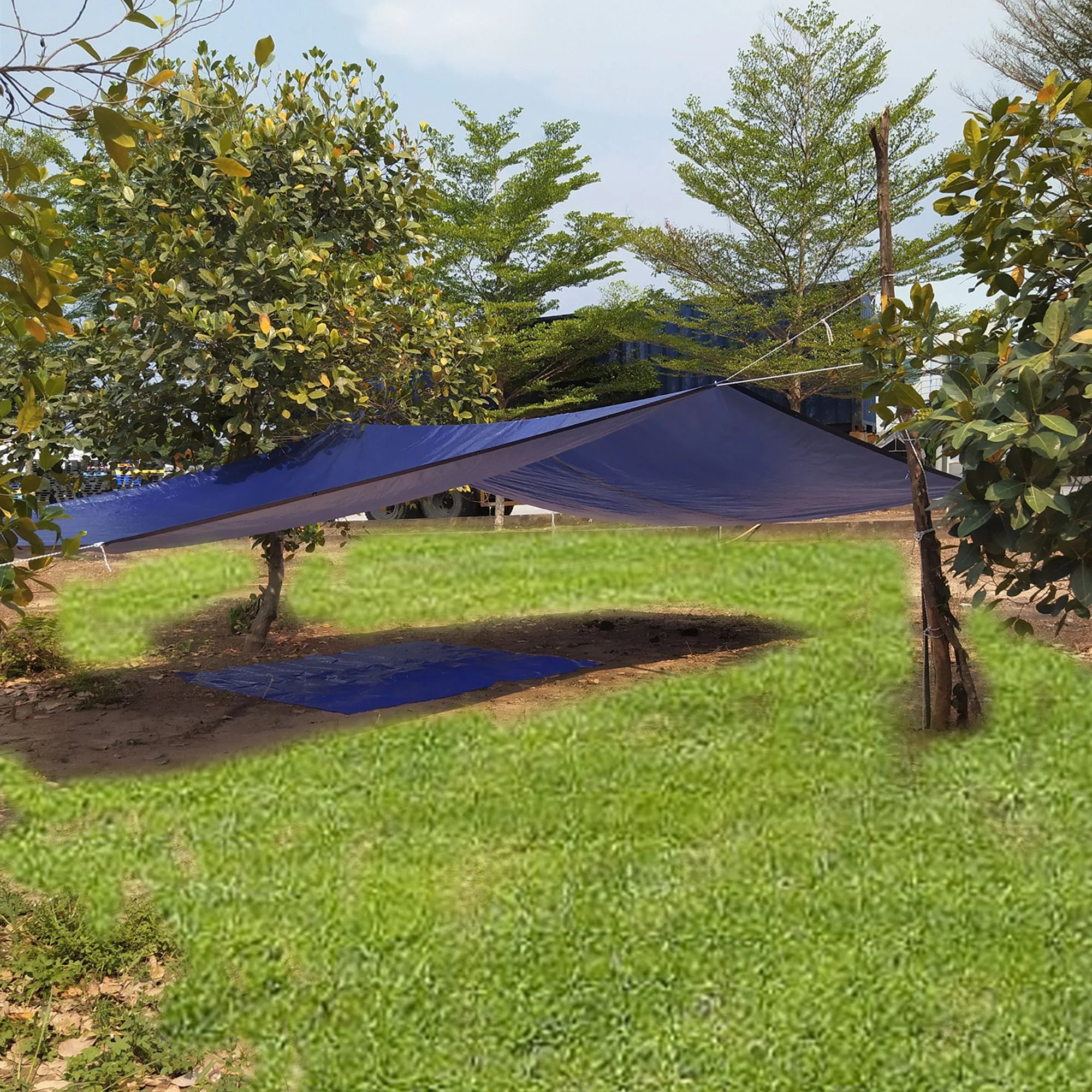 Medium-Duty Tarp 12' x 24' PE T55461