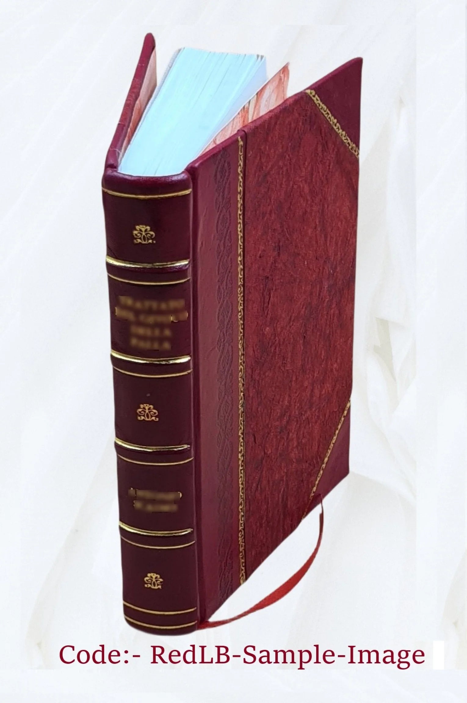Interurban Passenger Service Report G420