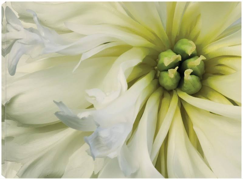 32x24 Canvas Art H94410
