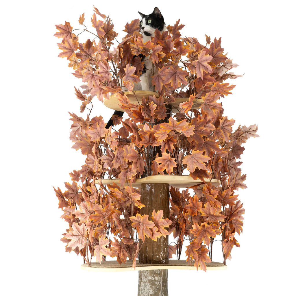 Plum Autumn 60-in Square Cat Tree A875766